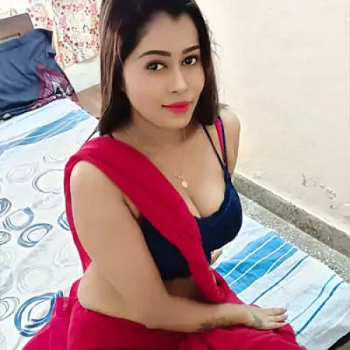 Independent Call Girls in Ludhiana